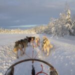 Adege Finland 2215334 1920 Adege Finland 2215334 1920